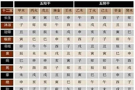 八字主星副星意思